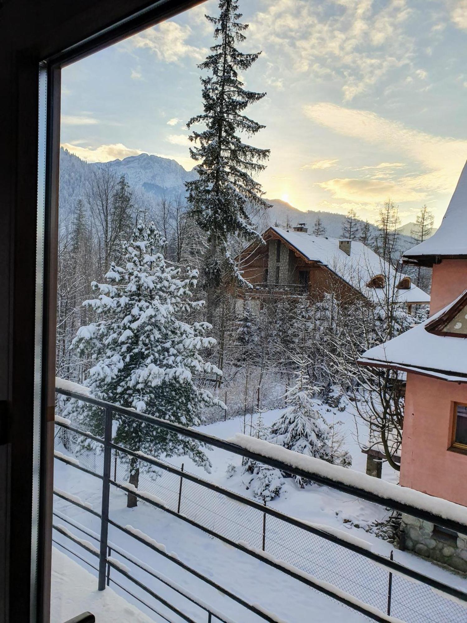 Appartamento Asteria Zakopane Esterno foto