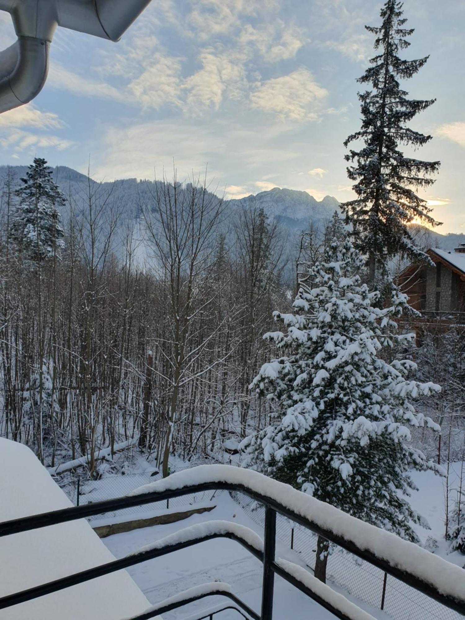 Appartamento Asteria Zakopane Esterno foto