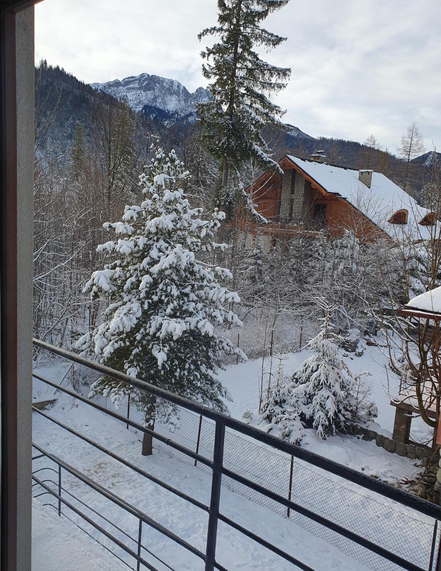 Appartamento Asteria Zakopane Camera foto